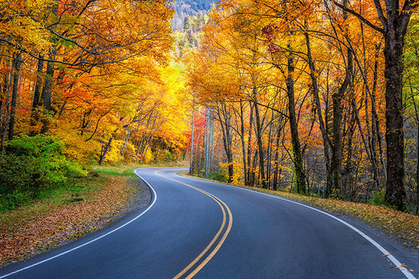 shutterstock_360547031