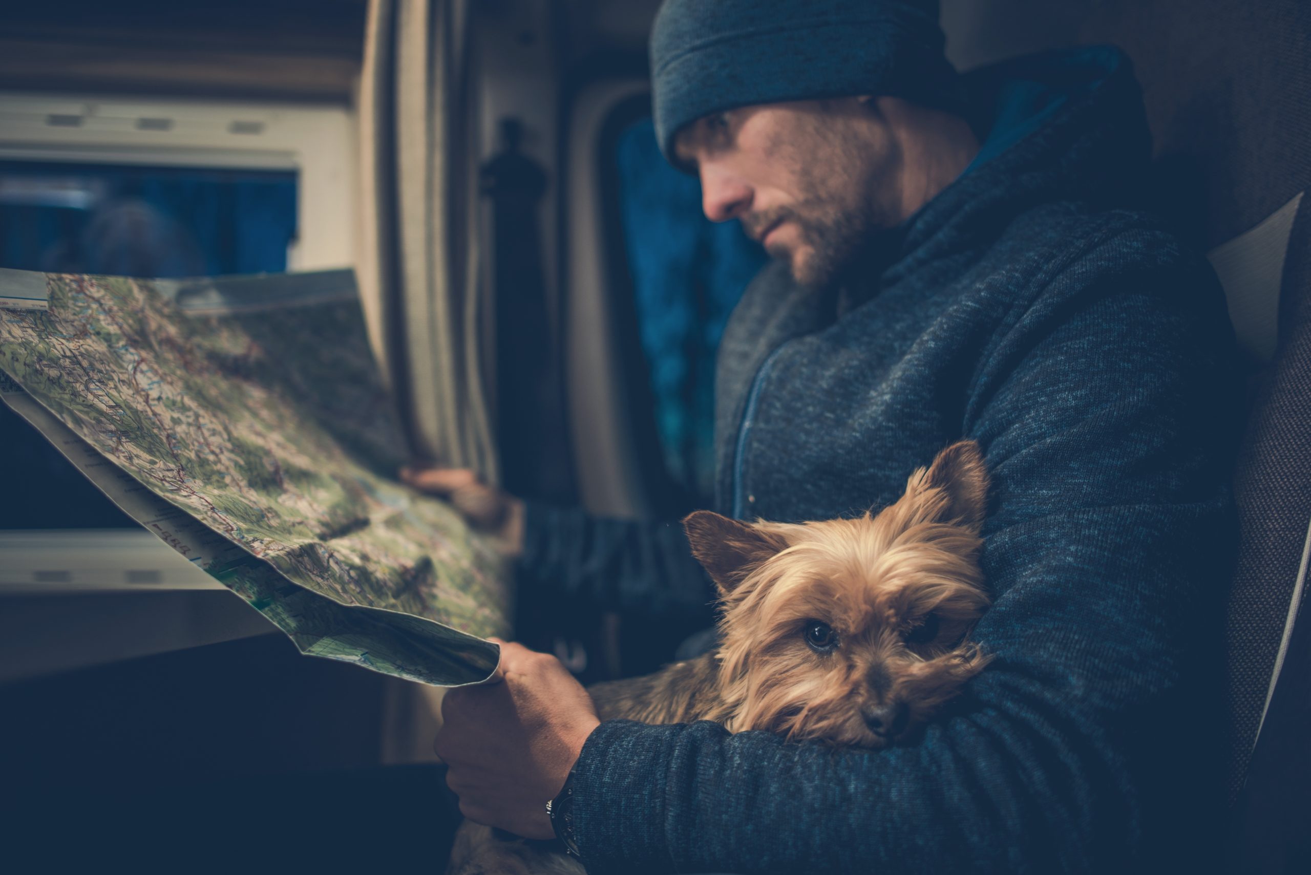 Bring-your-Pets-on-a-Luxury-Vacation