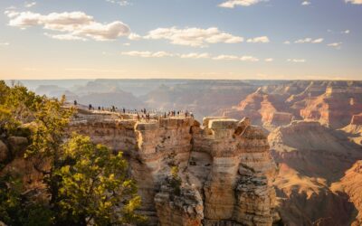 Grand Canyon Lodges Closed: Charter a Luxury Motorcoach with a Private Driver to Experience the Park in Comfort and Style